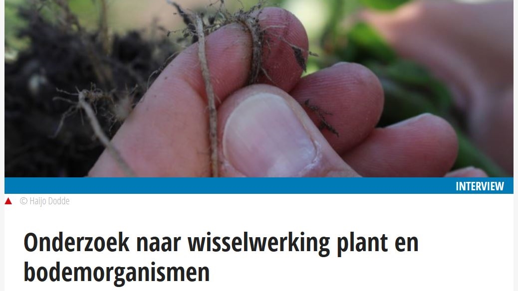 screenshot artikel nieuwe oogst - wortels wisselwerking